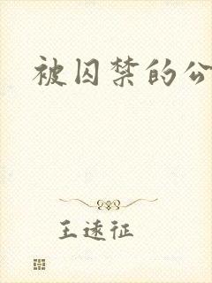 被囚禁的公主封面