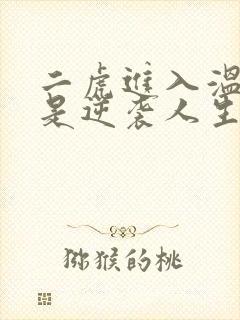 二虎进入温如玉是逆袭人生