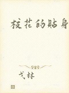 校花的贴身杀手