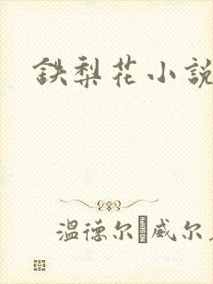 铁梨花小说