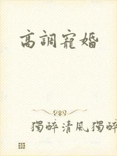 高调宠婚封面