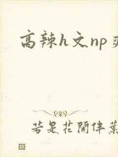 高辣h文np爽