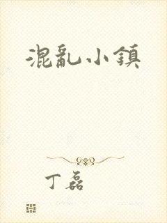 混乱小镇封面