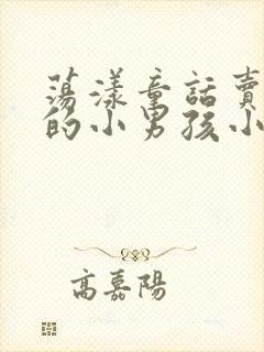 荡漾童话卖火柴的小男孩小说封面