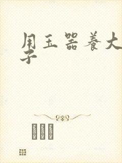 用玉器养大的皇子封面