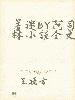 着迷BY阿司匹林小说全文免费阅读