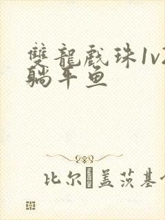 双龙戏珠1v2躺平鱼