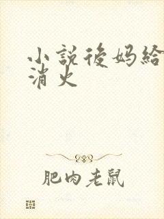 小说后妈给我消消火