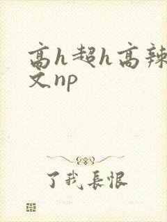 高h超h高辣h文np
