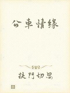 公车情缘