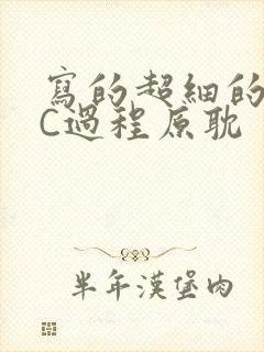 写的超细的多肉C过程原耽