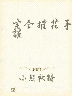 完全摧花手册小说