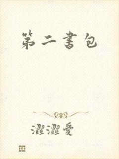 第二书包封面