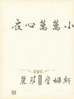 夜心万万小说