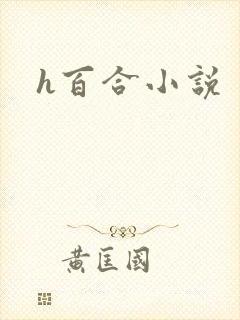 h百合小说封面