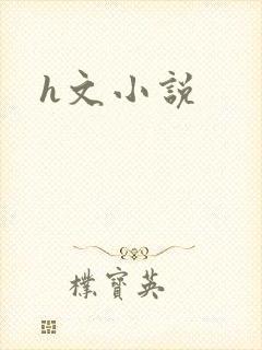 h文小说