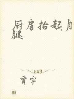 厨房抬起月月的腿封面