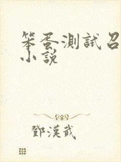 笨蛋测试召唤兽小说