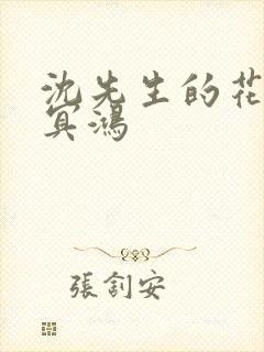 沈先生的花式调冥鸿封面