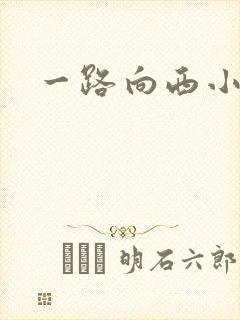一路向西小说封面