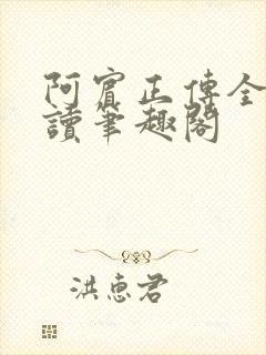 阿宾正传全文阅读笔趣阁封面