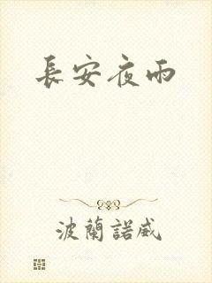 长安夜雨封面