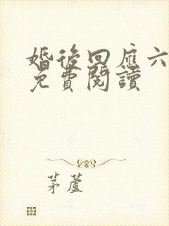 婚后回应六盲星免费阅读