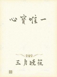 心宝唯一