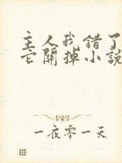 主人我错了请把它关掉小说