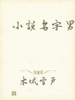 小说名字男生
