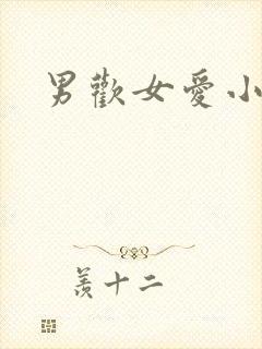 男欢女爱小说封面