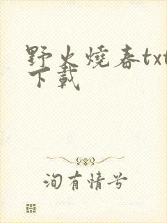 野火烧春txt下载