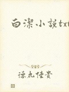 白洁小说txt