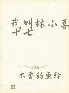 我叫林小喜今年十七