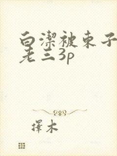 白洁被东子老二老三3p