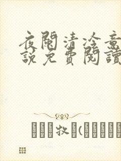 夜阑清冷意欢小说免费阅读