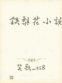 铁梨花小说