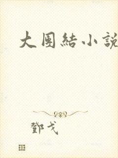 大团结小说全文