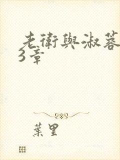 老卫与淑蓉第13章封面