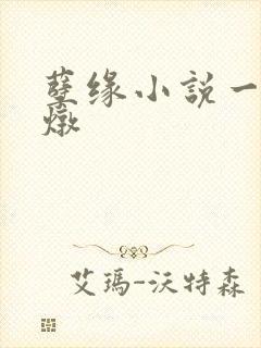 孽缘小说一家乱炖