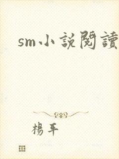 sm小说阅读