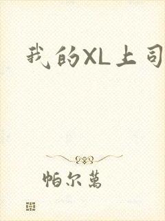 我的XL上司封面