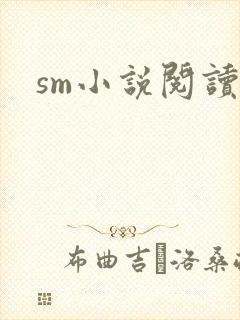sm小说阅读封面