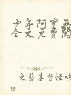 少年阿宾无删减全文免费阅读笔趣阁封面