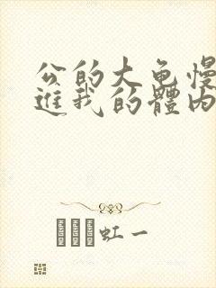 公的大龟慢慢挺进我的体内视频