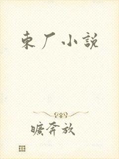 东厂小说封面