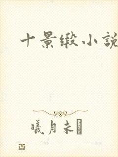 十景缎小说