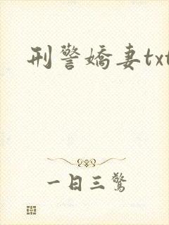 刑警娇妻txt封面