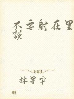 不要射在里面小说