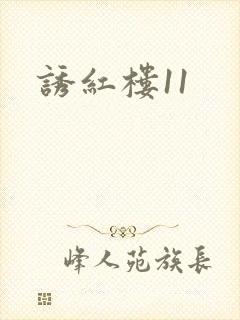 诱红楼11